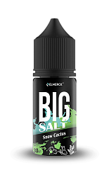 Жидкость EIMerck Big SALT 30 мл Snow Cactus (Кактус с холодком) 20