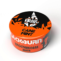 Табак для кальяна Black Burn Cane Mint Тростниковая Мята 25g